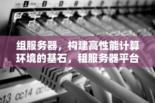 组服务器，构建高性能计算环境的基石，租服务器平台