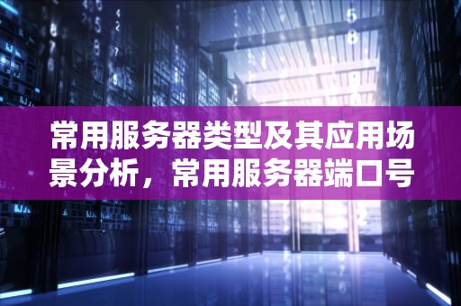 常用服务器类型及其应用场景分析，常用服务器端口号