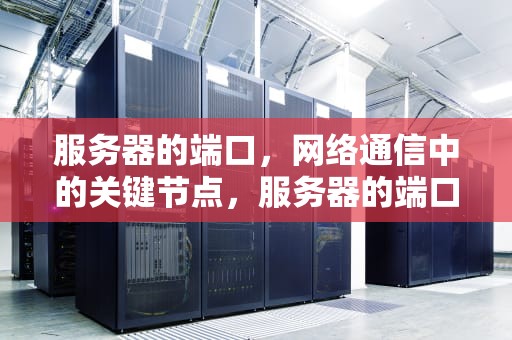 服务器的端口，网络通信中的关键节点，服务器的端口号怎么看