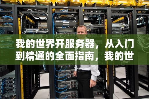 我的世界开服务器，从入门到精通的全面指南，我的世界开服务器要多少钱