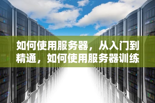 如何使用服务器，从入门到精通，如何使用服务器训练模型
