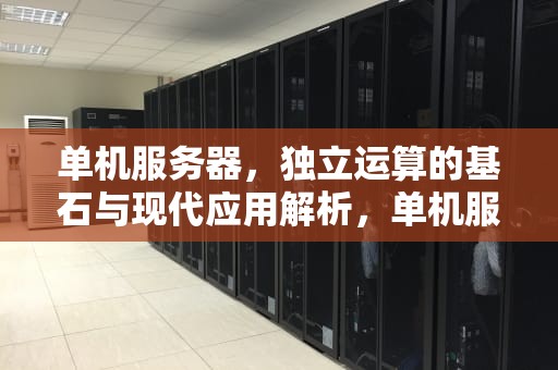 单机服务器，独立运算的基石与现代应用解析，单机服务器是什么意思