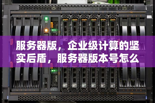 服务器版，企业级计算的坚实后盾，服务器版本号怎么看