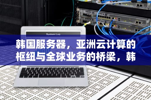 韩国服务器，亚洲云计算的枢纽与全球业务的桥梁，韩国服务器韩国服务器区别
