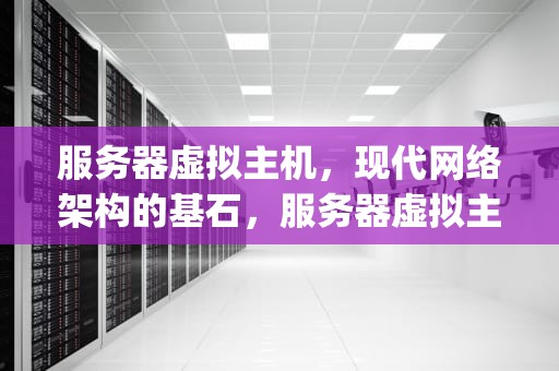 服务器虚拟主机，现代网络架构的基石，服务器虚拟主机vps
