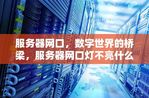服务器网口，数字世界的桥梁，服务器网口灯不亮什么原因