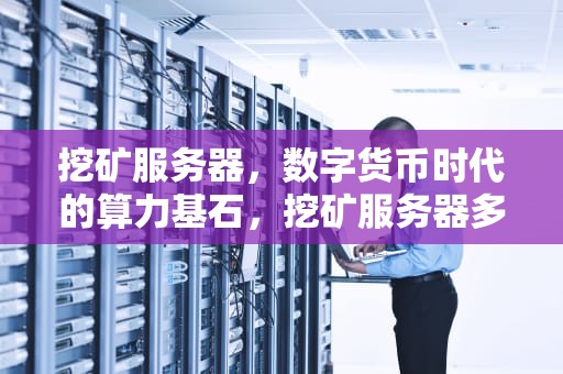 挖矿服务器，数字货币时代的算力基石，挖矿服务器多少钱一台
