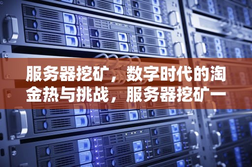 服务器挖矿，数字时代的淘金热与挑战，服务器挖矿一天赚多少钱
