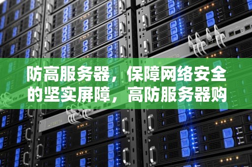 防高服务器，保障网络安全的坚实屏障，高防服务器购买