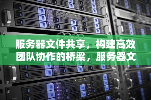 服务器文件共享，构建高效团队协作的桥梁，服务器文件共享软件