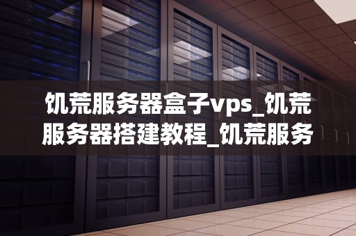 饥荒服务器盒子vps_饥荒服务器搭建教程_饥荒服务器盒子VPS的探索与应用