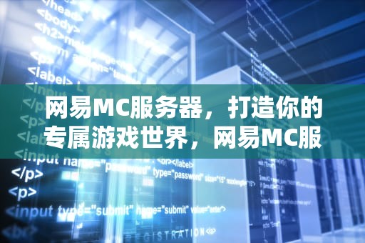 网易MC服务器，打造你的专属游戏世界，网易MC服务器多少钱