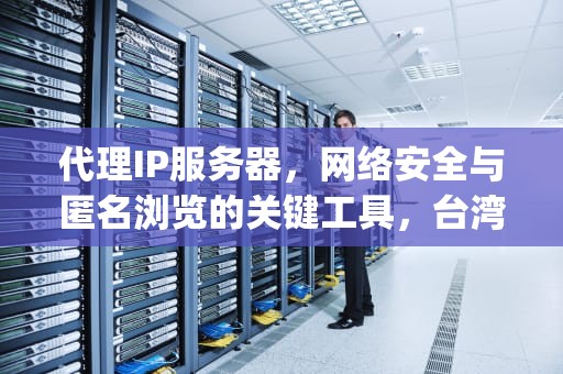 代理IP服务器，网络安全与匿名浏览的关键工具，台湾代理ip服务器