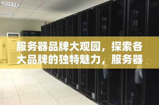 服务器品牌大观园，探索各大品牌的独特魅力，服务器有哪些品牌,型号,参数