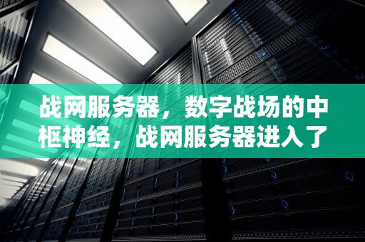 战网服务器，数字战场的中枢神经，战网服务器进入了睡眠模式