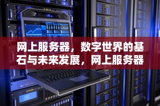 网上服务器，数字世界的基石与未来发展，网上服务器租借要多少钱