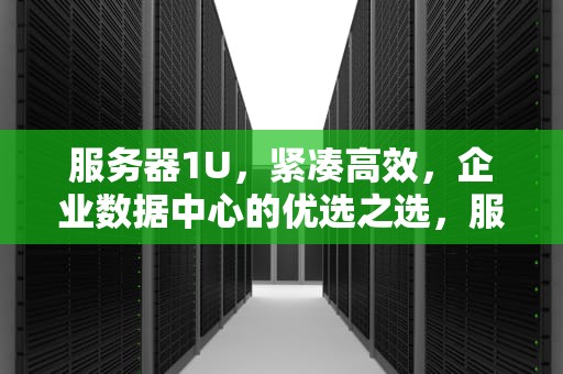 服务器1U，紧凑高效，企业数据中心的优选之选，服务器1u2u是什么意思