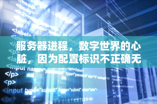 服务器进程，数字世界的心脏，因为配置标识不正确无法开始服务器进程