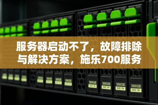服务器启动不了，故障排除与解决方案，施乐700服务器启动不了