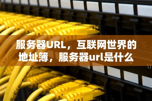 服务器URL，互联网世界的地址簿，服务器url是什么