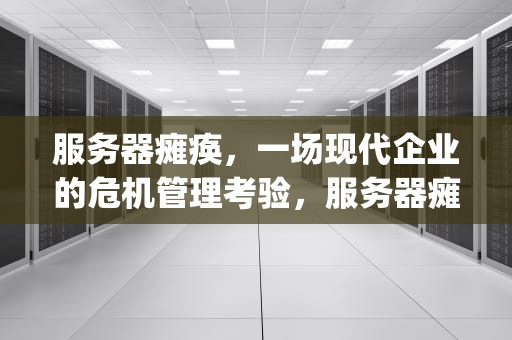 服务器瘫痪，一场现代企业的危机管理考验，服务器瘫痪不会影响ww ftp和dns等各种网络服务