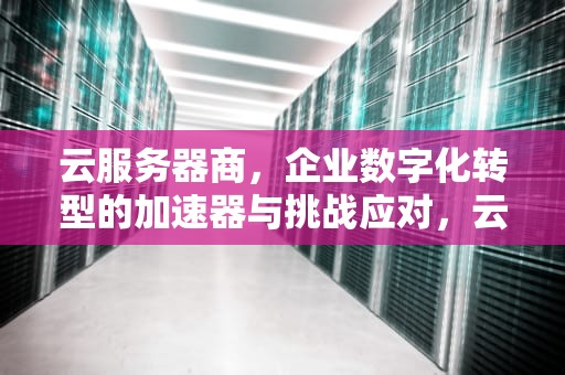 云服务器商，企业数字化转型的加速器与挑战应对，云服务器商家排名