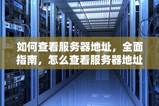 如何查看服务器地址，全面指南，怎么查看服务器地址