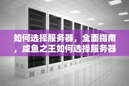 如何选择服务器，全面指南，咸鱼之王如何选择服务器