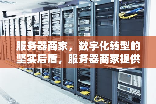 服务器商家，数字化转型的坚实后盾，服务器商家提供商