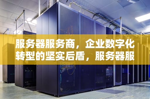 服务器服务商，企业数字化转型的坚实后盾，服务器服务商有哪些