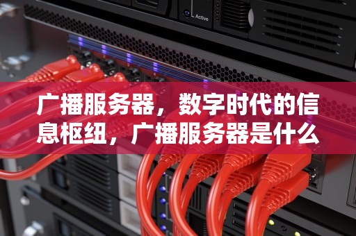 广播服务器，数字时代的信息枢纽，广播服务器是什么
