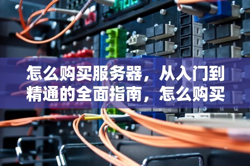 怎么购买服务器，从入门到精通的全面指南，怎么购买服务器和域名