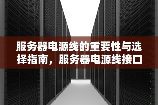 服务器电源线的重要性与选择指南，服务器电源线接口类型