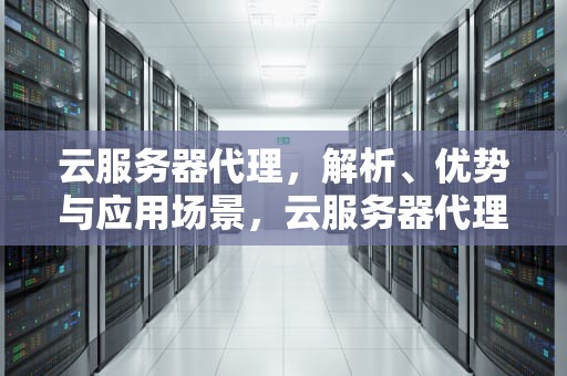 云服务器代理，解析、优势与应用场景，云服务器代理加盟