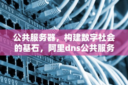 公共服务器，构建数字社会的基石，阿里dns公共服务器