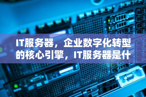 IT服务器，企业数字化转型的核心引擎，IT服务器是什么