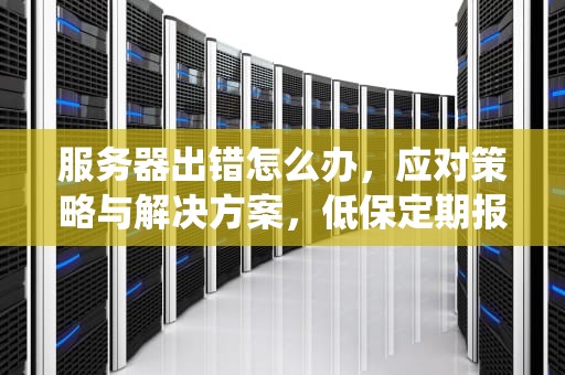 服务器出错怎么办，应对策略与解决方案，低保定期报告系统服务器出错怎么办