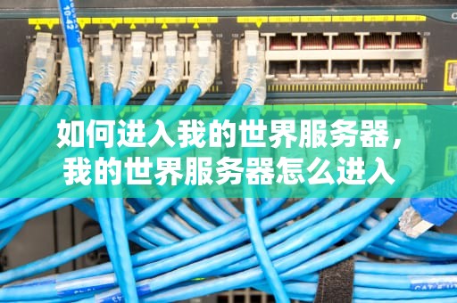 如何进入我的世界服务器，我的世界服务器怎么进入