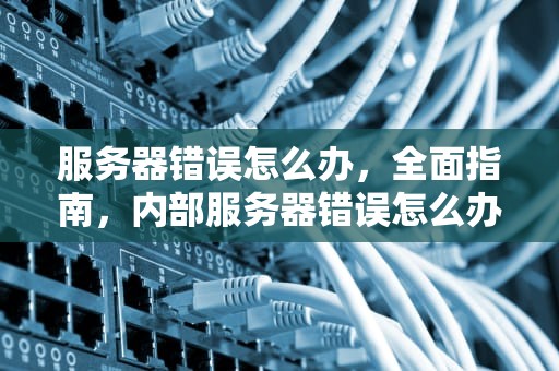 服务器错误怎么办，全面指南，内部服务器错误怎么办