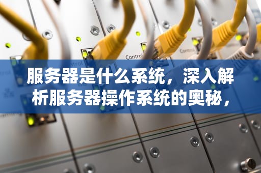 服务器是什么系统，深入解析服务器操作系统的奥秘，电脑服务器地址在哪里找