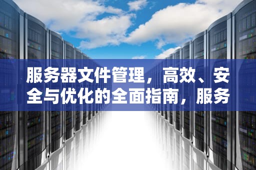 服务器文件管理，高效、安全与优化的全面指南，服务器文件管理软件
