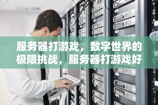服务器打游戏，数字世界的极限挑战，服务器打游戏好不好用