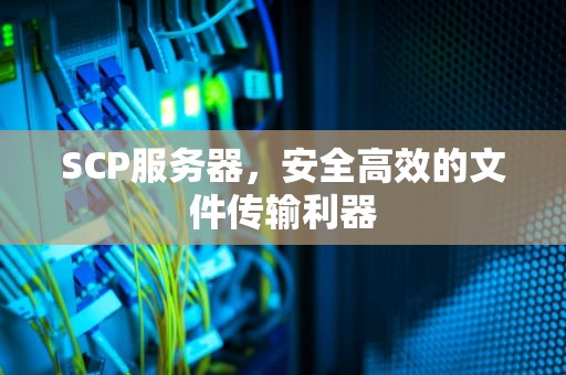 SCP服务器，安全高效的文件传输利器