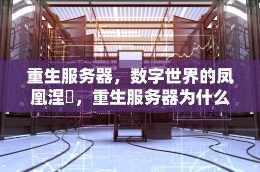 重生服务器，数字世界的凤凰涅槃，重生服务器为什么这么垃圾
