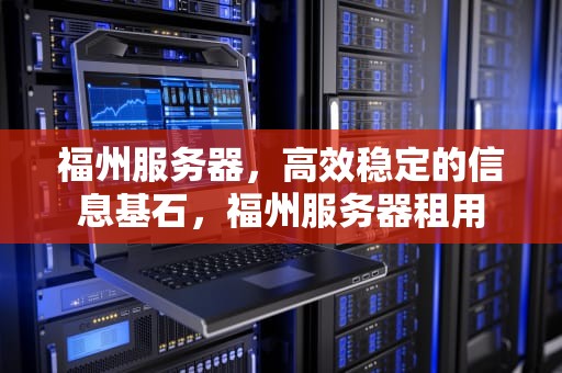 福州服务器，高效稳定的信息基石，福州服务器租用