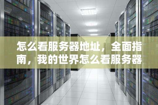 怎么看服务器地址，全面指南，我的世界怎么看服务器地址