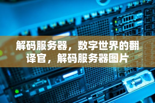 解码服务器，数字世界的翻译官，解码服务器图片