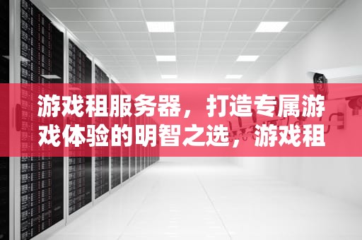 游戏租服务器，打造专属游戏体验的明智之选，游戏租服务器多少钱