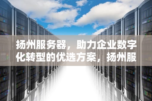 扬州服务器，助力企业数字化转型的优选方案，扬州服务器租用