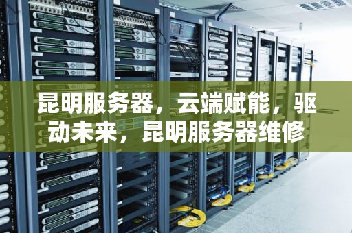 昆明服务器，云端赋能，驱动未来，昆明服务器维修